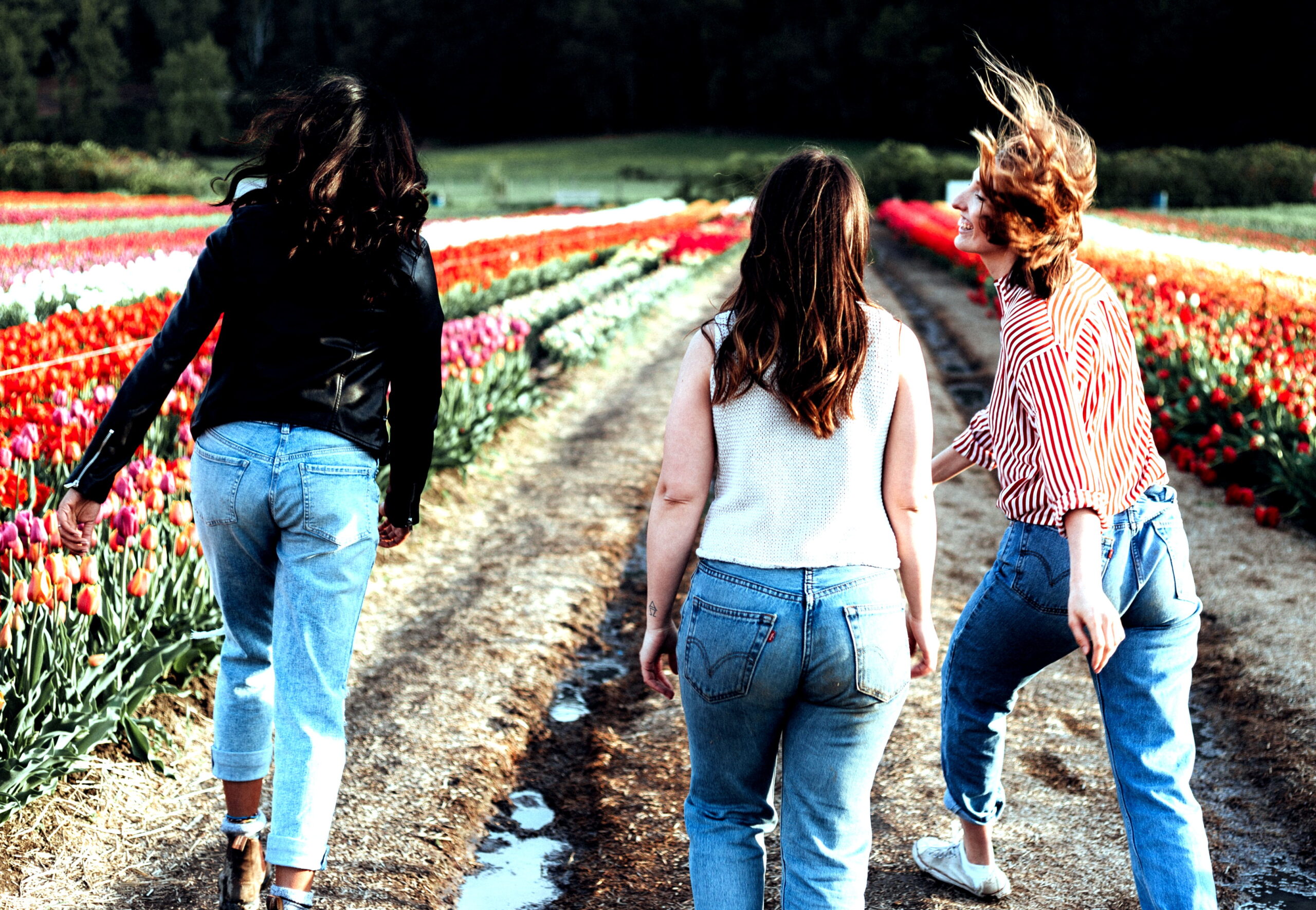Drie vrouwen lopen op een zonnige dag met hun rug naar de camera door een Nederlands veld met kleurrijke tulpen op een zandpad.
